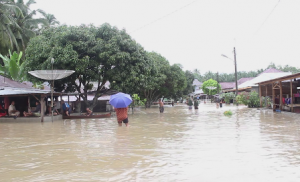 foto : 16 kecamatan di Madina terendam banjir (bas)