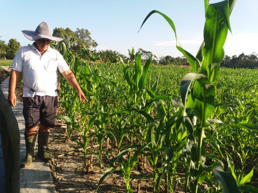 SAVE_20210217_102015